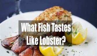 What Florida Fish Tastes Like Lobster?