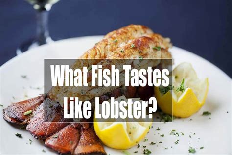 What Florida Fish Tastes Like Lobster?