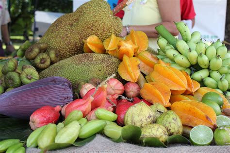 What Fruit Is Florida Know For?