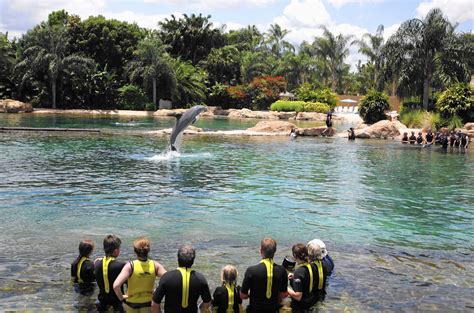 What happened at Discovery Cove?