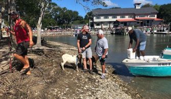 What Happened In Goat Island?