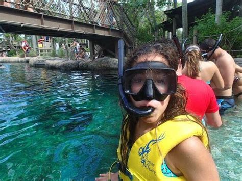 What Happened To Snorkeling At Typhoon Lagoon?