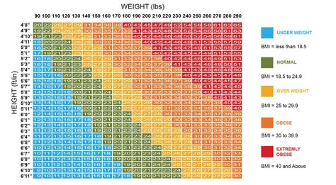 What Is A Good BMI For Climbing?