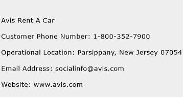 What is Avis customer service number?