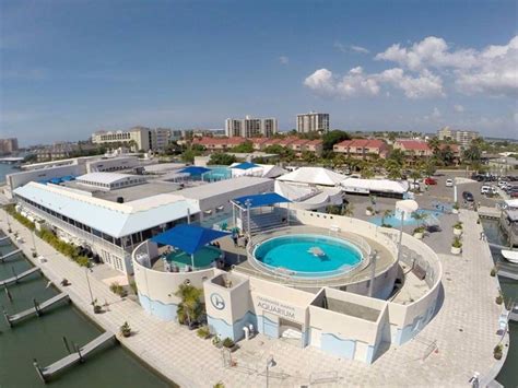 What is better Florida Aquarium or Clearwater aquarium?