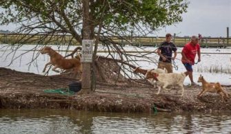 What Is Filmed On Goat Island?