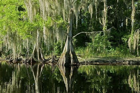 What is Florida's largest national park?