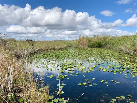 What is special about the Everglades National Park?