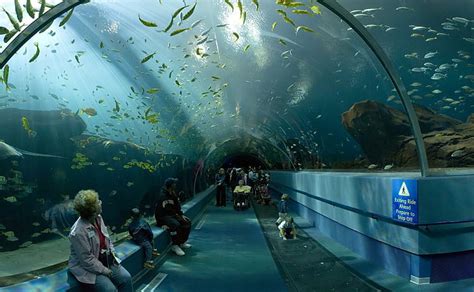 What Is The #1 Aquarium In The US?