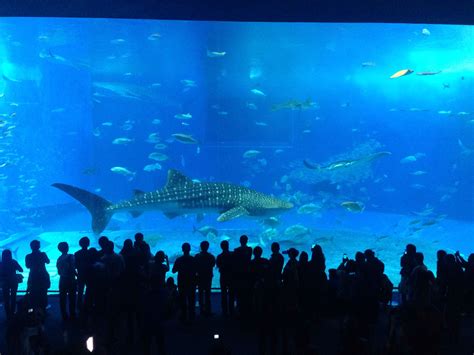 What is the 3 largest aquarium in the world?