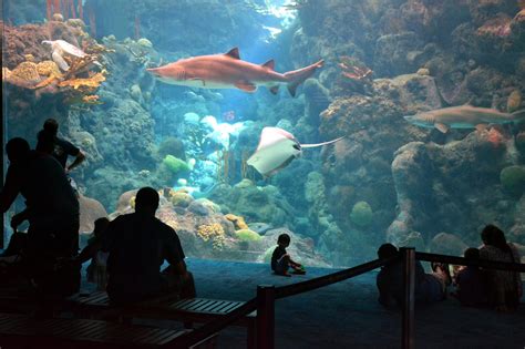 What is the best aquarium to go to in Florida?