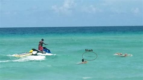 What is the best beach in Florida no sharks?