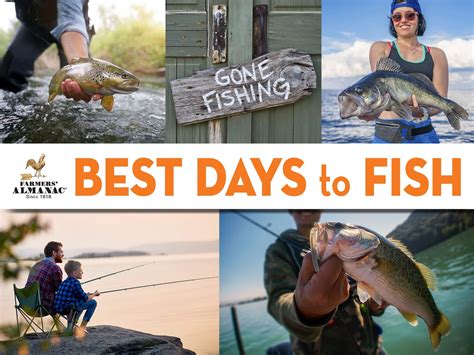 What is the best day to fish?