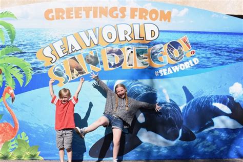 What Is The Best Month To Go To SeaWorld?