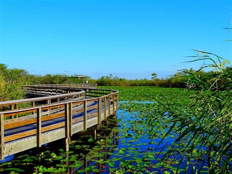 What Is The Best Month To Visit The Everglades?