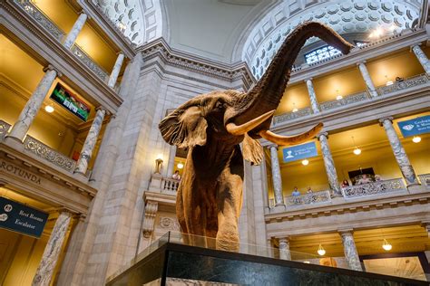 What Is The Best Museum You’ll Never Get To See?