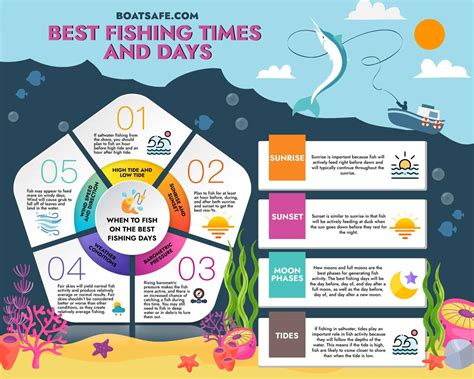 What Is The Best Time Of Day To Fish In Miami?