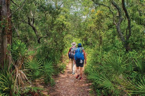 What Is The Best Time Of Year To Hike The Florida Trail?