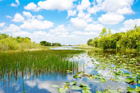 What is the best way to visit the Everglades?