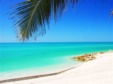 What is the cleanest beach in the Gulf of Florida?