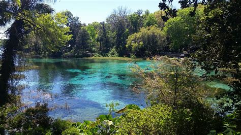 What Is The Clearest River In Florida?