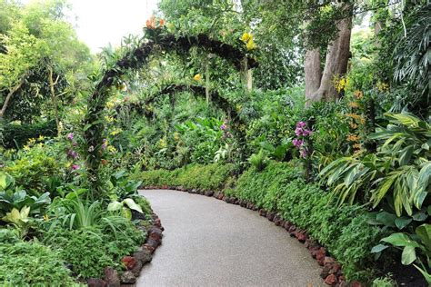 What is the difference between a botanic garden and a botanical garden?