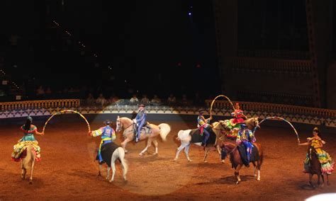 What is the dinner show with horses in Orlando?