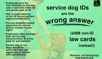 What Is The Dog Law In Miami-Dade?