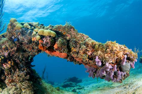 What is the famous reef in Florida?