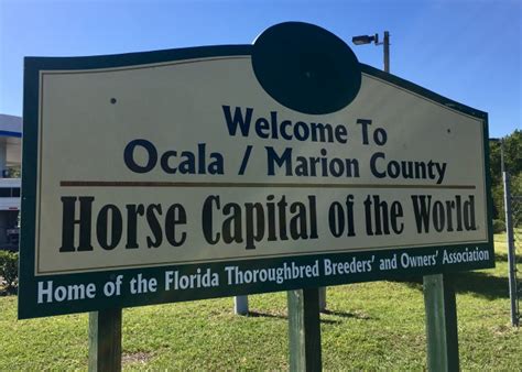 What Is The Horse Capital Of The World Florida?