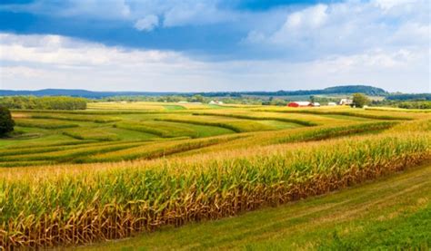 What Is The Largest Farm In America?