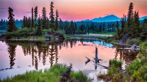 What is the largest national park in Florida?