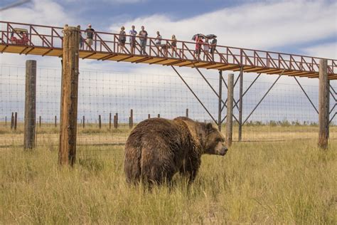 What is the largest wild life sanctuary in the world?