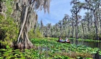 What Is The Largest Wilderness Area In Florida?