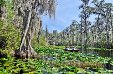 What is the largest wilderness area in Florida?