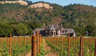 What Is The Largest Winery In The US?