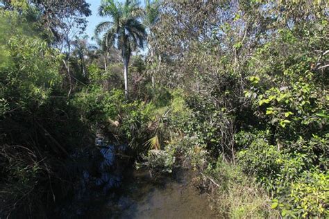 What is the lost city in the Everglades?