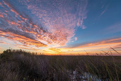 What Is The Most Beautiful Part Of The Everglades?