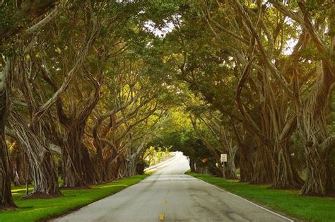What is the most photographed road in Florida?