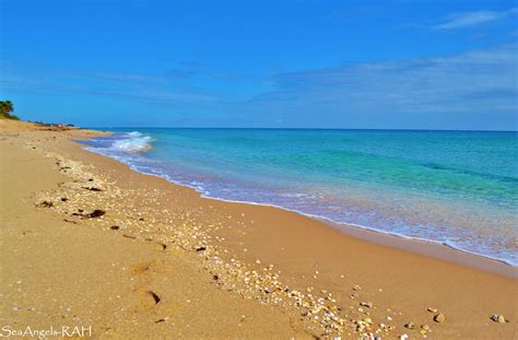 What is the most turquoise beach in Florida?