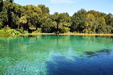 What Is The New Spring In Florida?