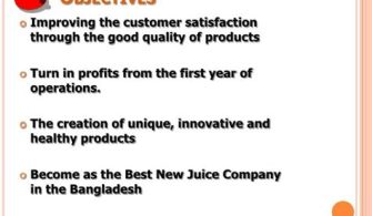 What Is The Objective Of Juice Bar Business?