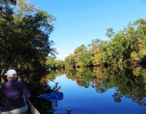 What Is The Prettiest Part Of The Withlacoochee Trail?