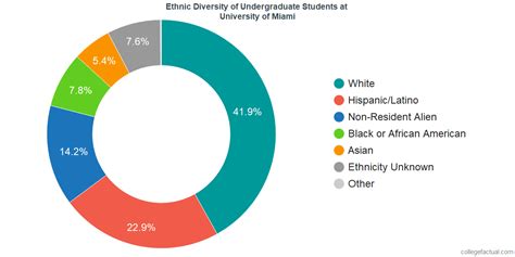 What Is The Race Percentage In Miami?