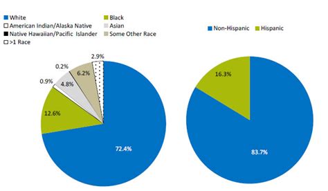 What is the racial makeup of Miami?