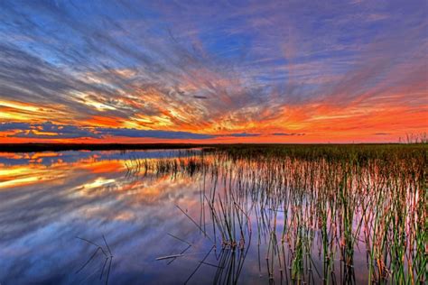 What Is The Rainy Season In The Everglades?