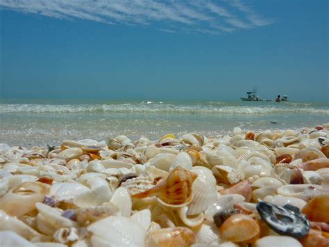 What Is The Season For Sanibel?