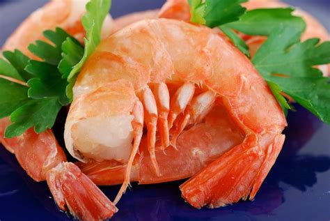 What Is The Shrimp Capital Of Florida?