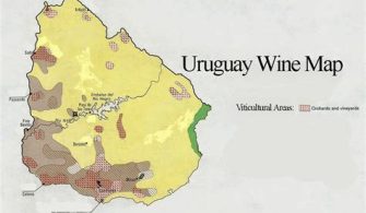 What Is The Wine Capital Of South America?