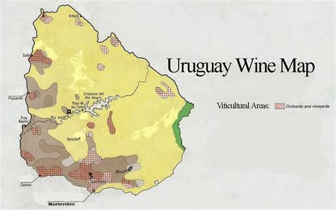 What is the wine capital of South America?